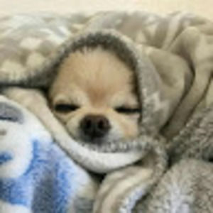 Meet your Posher, Isaac